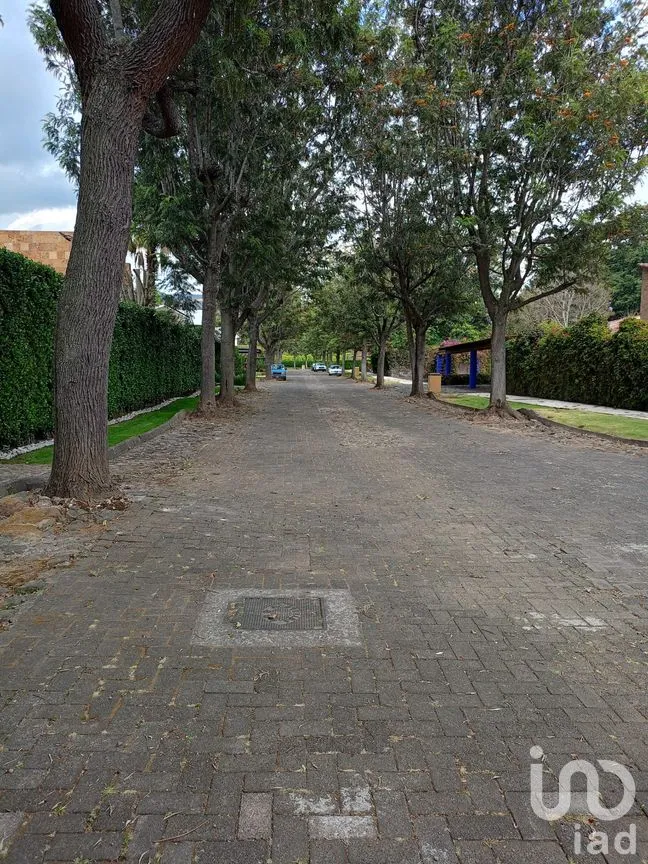 Terreno en Venta en San Sebastián, Malinalco, México | NEX-286110 | iad México | Foto 39 de 53