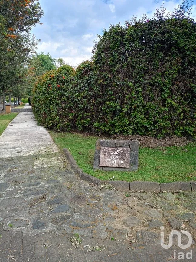 Terreno en Venta en San Sebastián, Malinalco, México | NEX-286110 | iad México | Foto 41 de 53