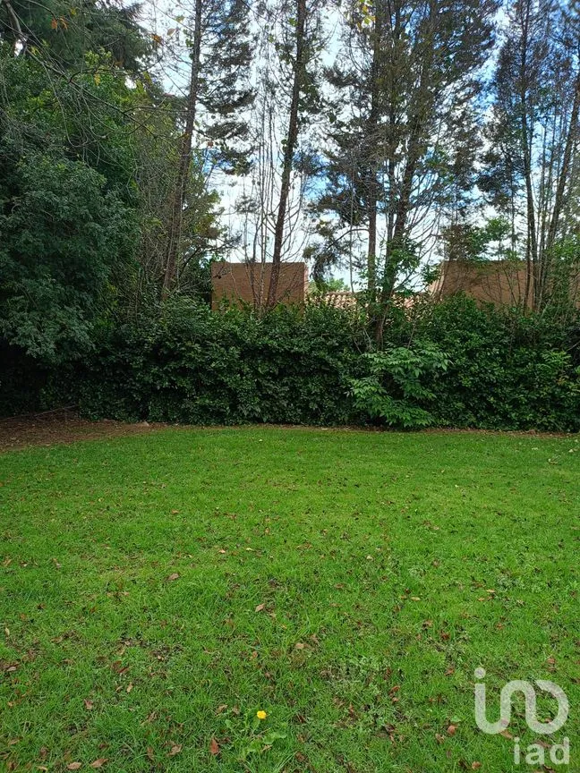 Terreno en Venta en San Sebastián, Malinalco, México | NEX-286110 | iad México | Foto 42 de 53