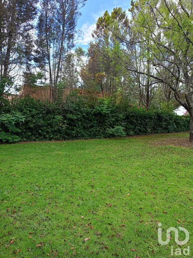 Terreno en Venta en San Sebastián, Malinalco, México | NEX-286110 | iad México | Foto 43 de 53