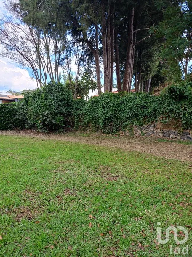 Terreno en Venta en San Sebastián, Malinalco, México | NEX-286110 | iad México | Foto 47 de 53