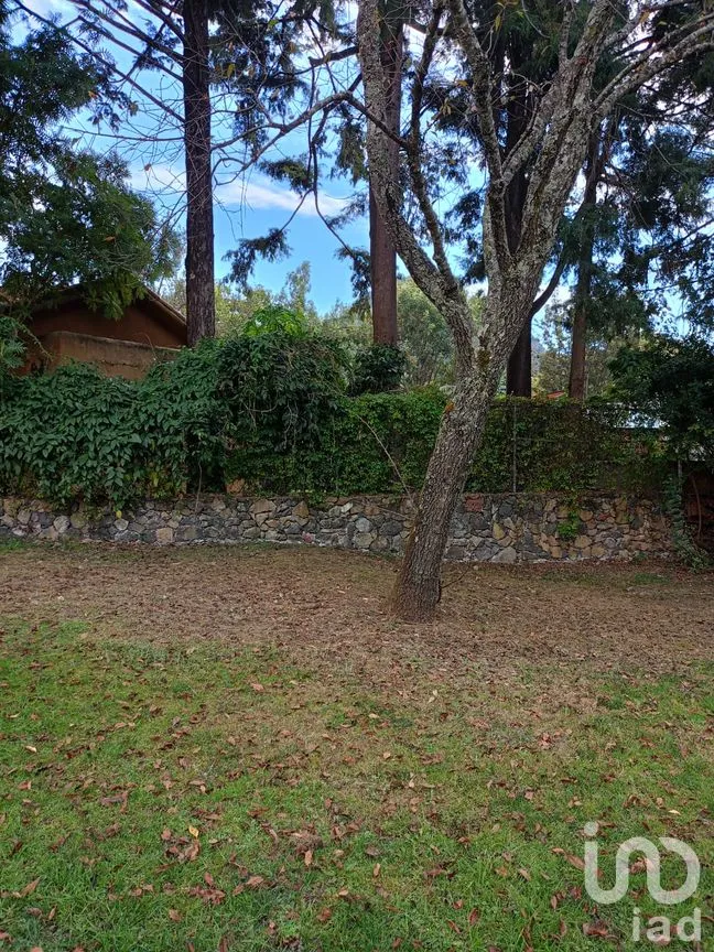 Terreno en Venta en San Sebastián, Malinalco, México | NEX-286110 | iad México | Foto 48 de 53