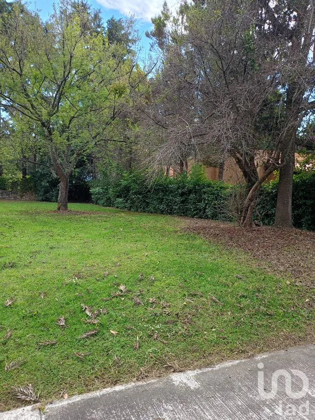 Terreno en Venta en San Sebastián, Malinalco, México | NEX-286110 | iad México | Foto 53 de 53