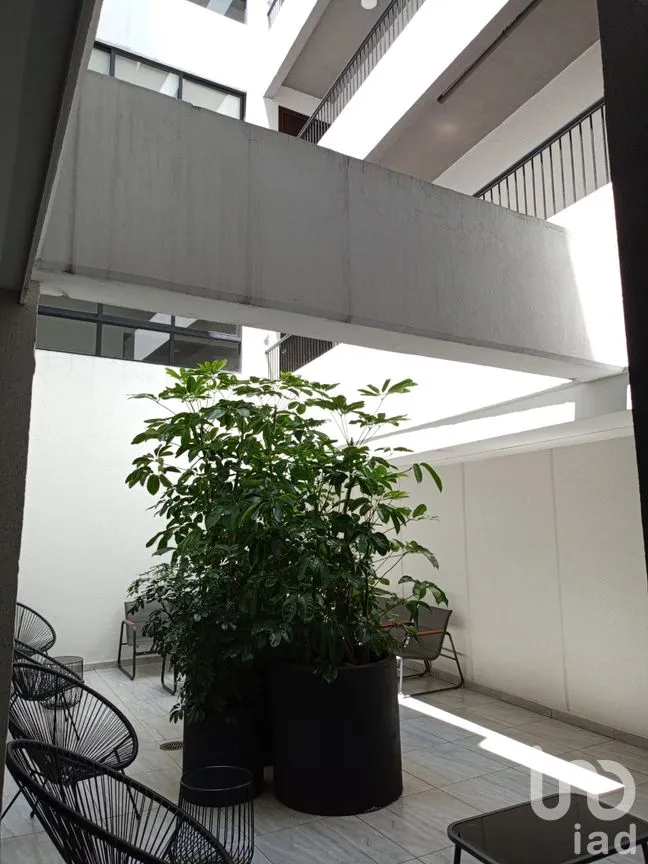 Departamento en Renta en Contadero, Cuajimalpa de Morelos, Ciudad de México | NEX-286272 | iad México | Foto 3 de 41