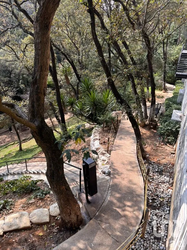 Departamento en Venta en Santa Fe Cuajimalpa, Cuajimalpa de Morelos, Ciudad de México | NEX-287263 | iad México | Foto 19 de 36