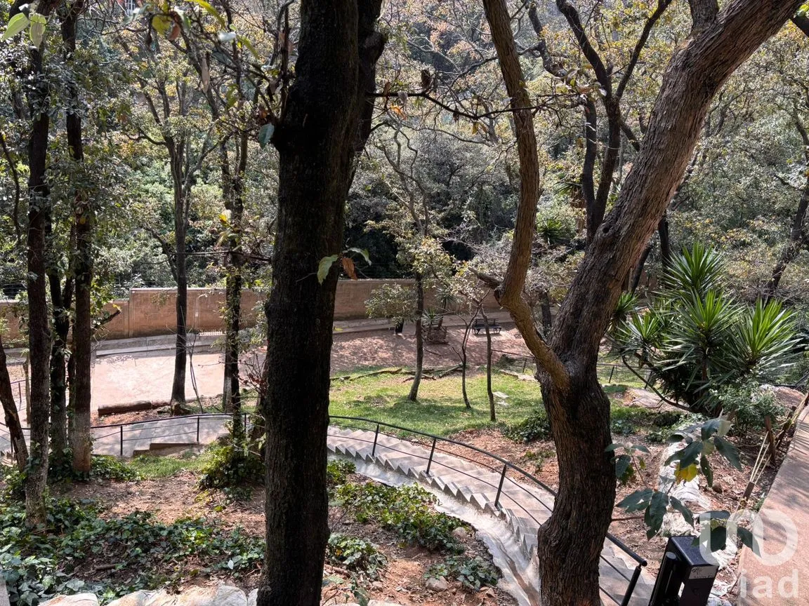 Departamento en Venta en Santa Fe Cuajimalpa, Cuajimalpa de Morelos, Ciudad de México | NEX-287263 | iad México | Foto 20 de 36