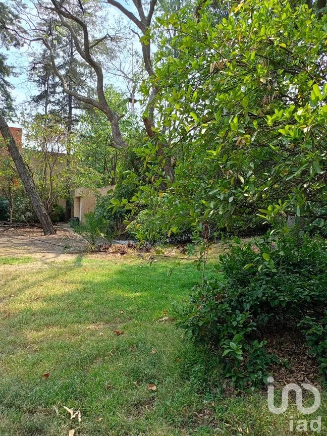 Terreno en Venta en La Joya, Tlalpan, Ciudad de México | NEX-290628 | iad México | Foto 2 de 13