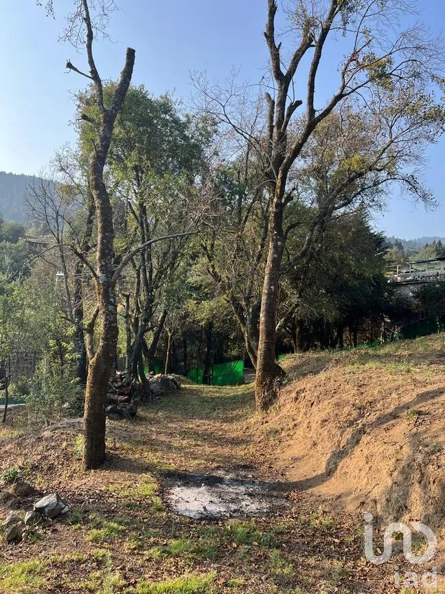 Terreno en Venta en Ignacio Allende, Huixquilucan, México | NEX-292660 | iad México | Foto 11 de 26