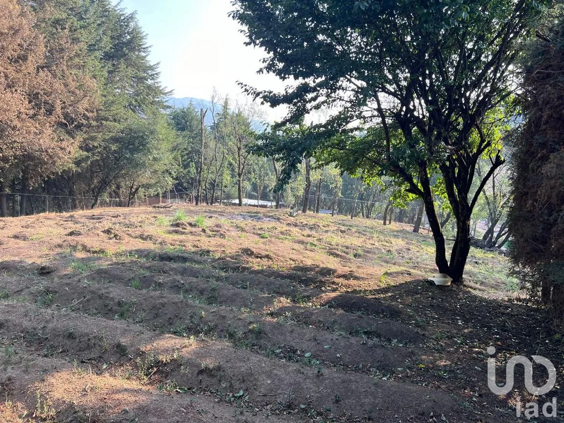 Terreno en Venta en Ignacio Allende, Huixquilucan, México | NEX-292660 | iad México | Foto 12 de 26