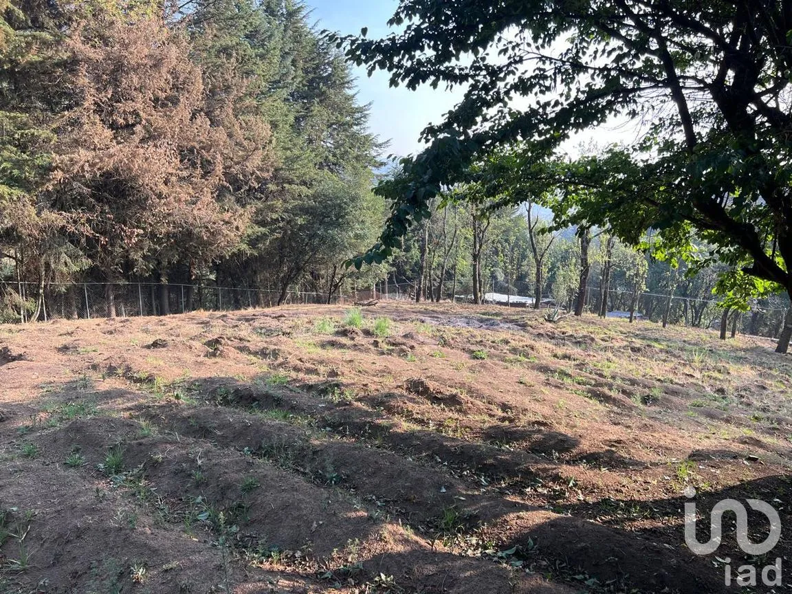Terreno en Venta en Ignacio Allende, Huixquilucan, México | NEX-292660 | iad México | Foto 13 de 26