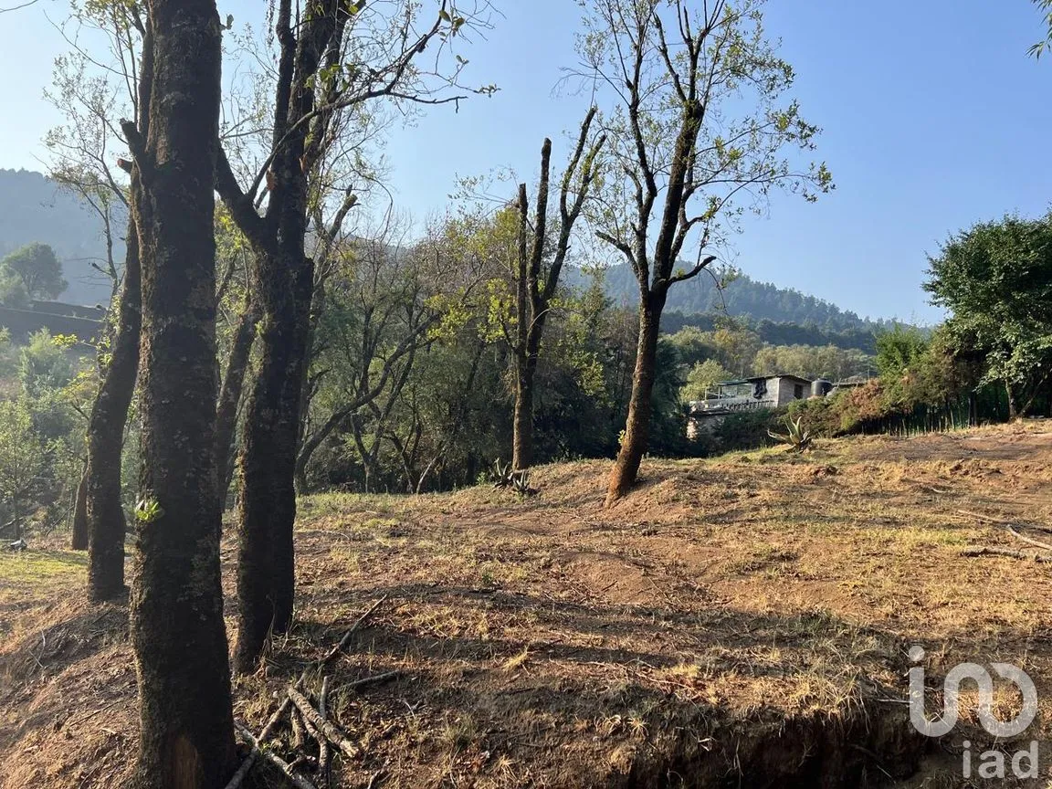 Terreno en Venta en Ignacio Allende, Huixquilucan, México | NEX-292660 | iad México | Foto 14 de 26