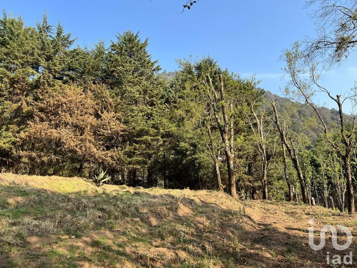 Terreno en Venta en Ignacio Allende, Huixquilucan, México | NEX-292660 | iad México | Foto 15 de 26