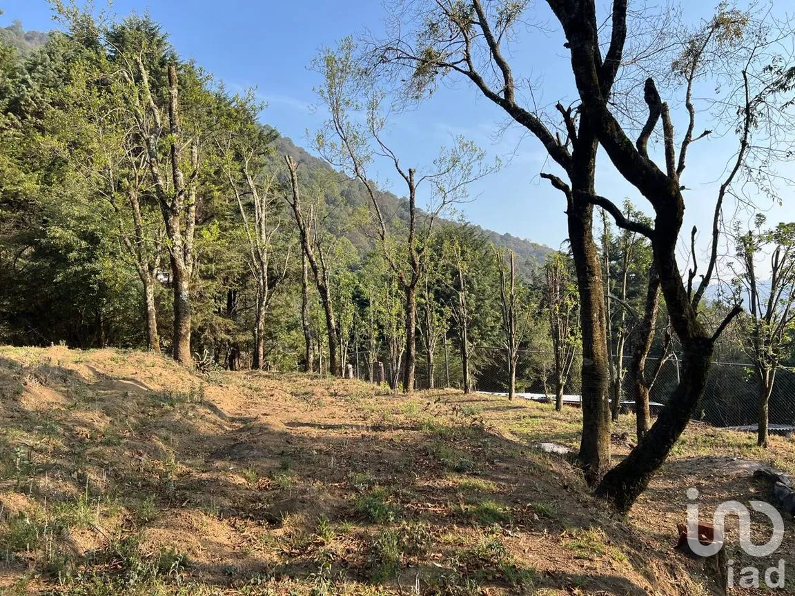 Terreno en Venta en Ignacio Allende, Huixquilucan, México | NEX-292660 | iad México | Foto 16 de 26