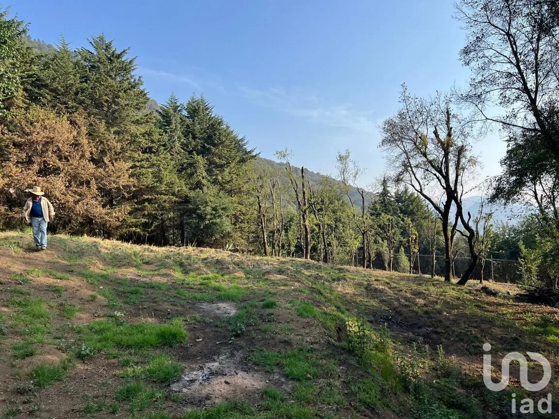 Terreno en Venta en Ignacio Allende, Huixquilucan, México | NEX-292660 | iad México | Foto 17 de 26