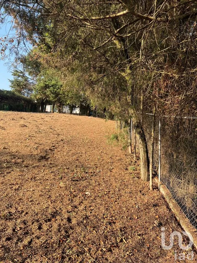 Terreno en Venta en Ignacio Allende, Huixquilucan, México | NEX-292660 | iad México | Foto 18 de 26