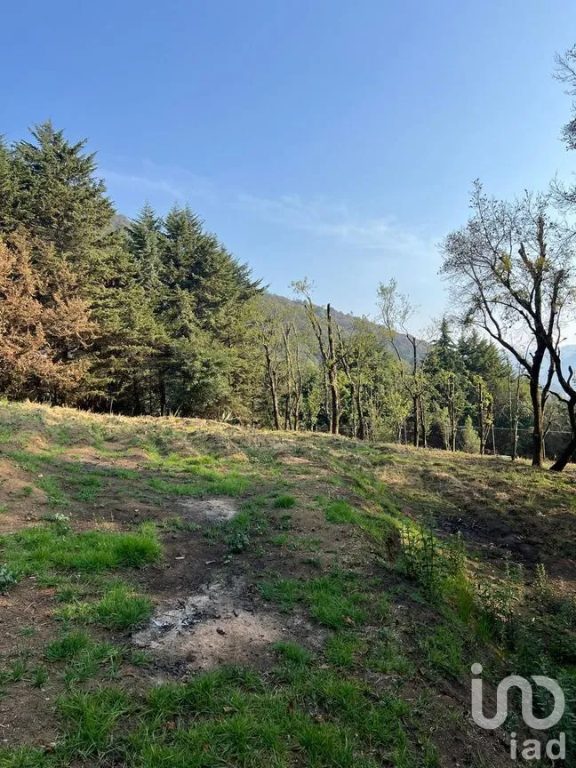 Terreno en Venta en Ignacio Allende, Huixquilucan, México | NEX-292660 | iad México | Foto 19 de 26
