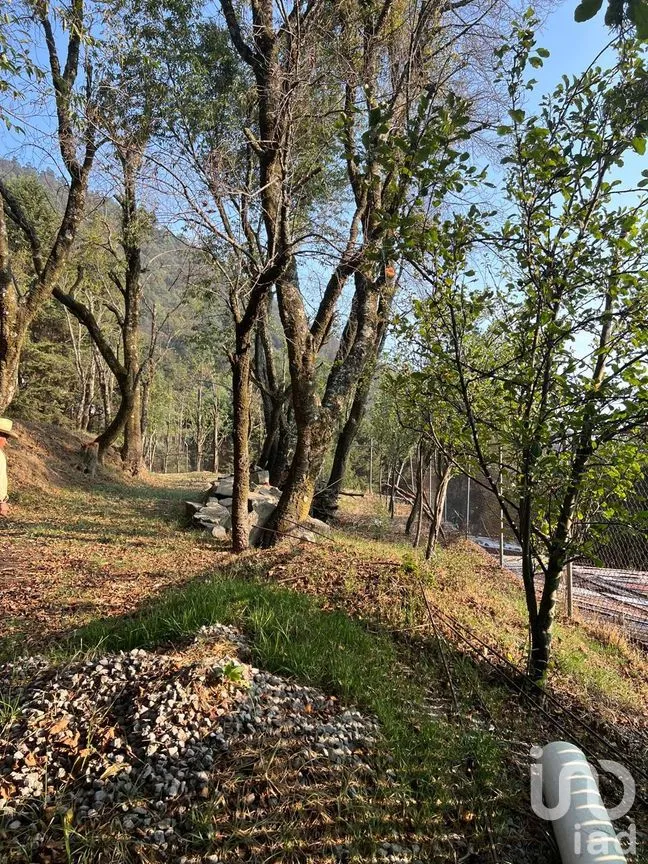 Terreno en Venta en Ignacio Allende, Huixquilucan, México | NEX-292660 | iad México | Foto 20 de 26