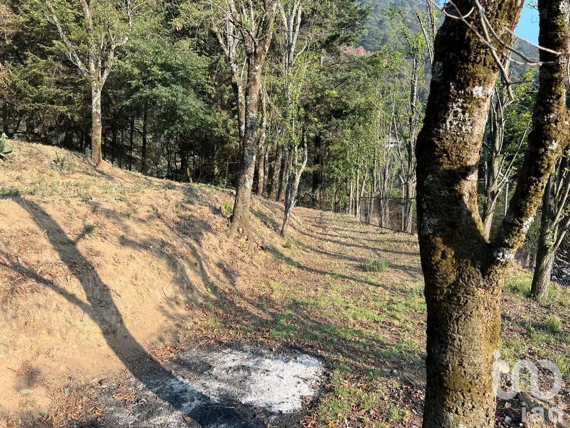 Terreno en Venta en Ignacio Allende, Huixquilucan, México | NEX-292660 | iad México | Foto 3 de 26