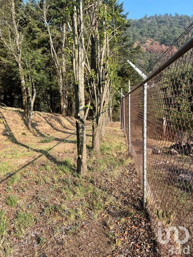 Terreno en Venta en Ignacio Allende, Huixquilucan, México | NEX-292660 | iad México | Foto 21 de 26
