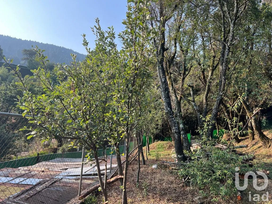 Terreno en Venta en Ignacio Allende, Huixquilucan, México | NEX-292660 | iad México | Foto 22 de 26