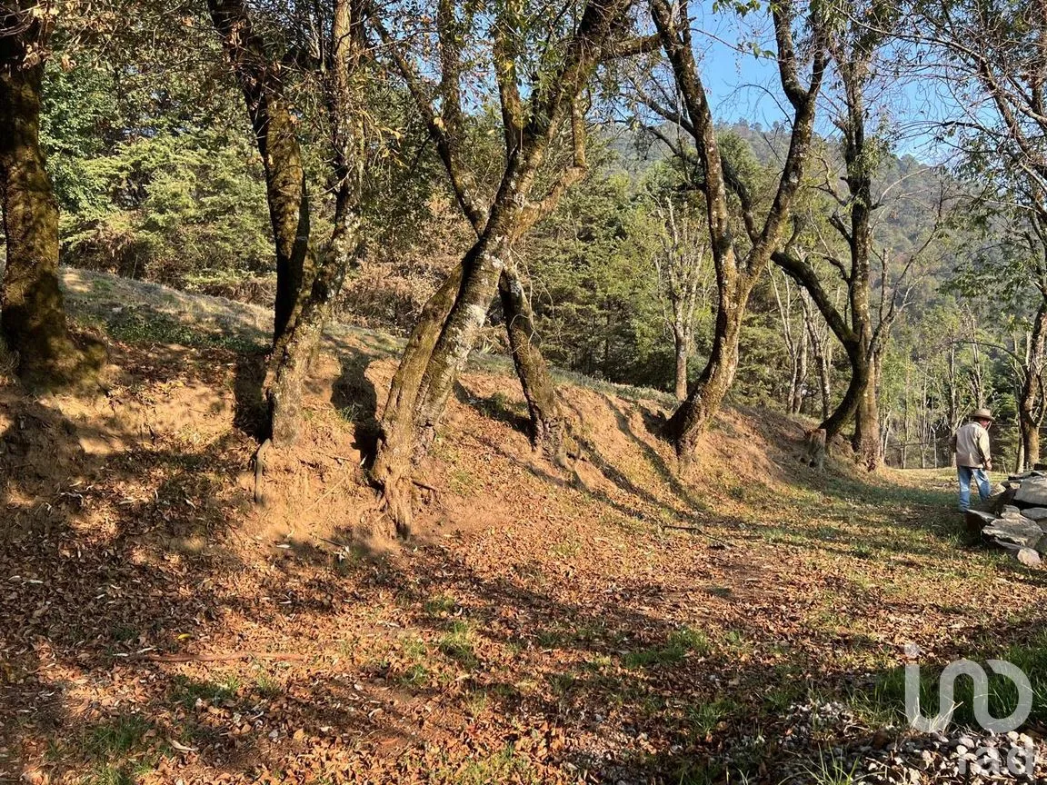 Terreno en Venta en Ignacio Allende, Huixquilucan, México | NEX-292660 | iad México | Foto 6 de 26