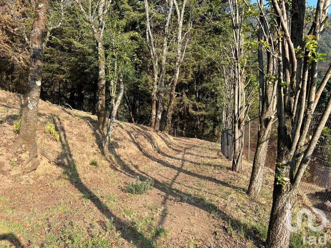 Terreno en Venta en Ignacio Allende, Huixquilucan, México | NEX-292660 | iad México | Foto 7 de 26