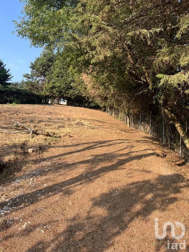 Terreno en Venta en Ignacio Allende, Huixquilucan, México | NEX-292660 | iad México | Foto 10 de 26