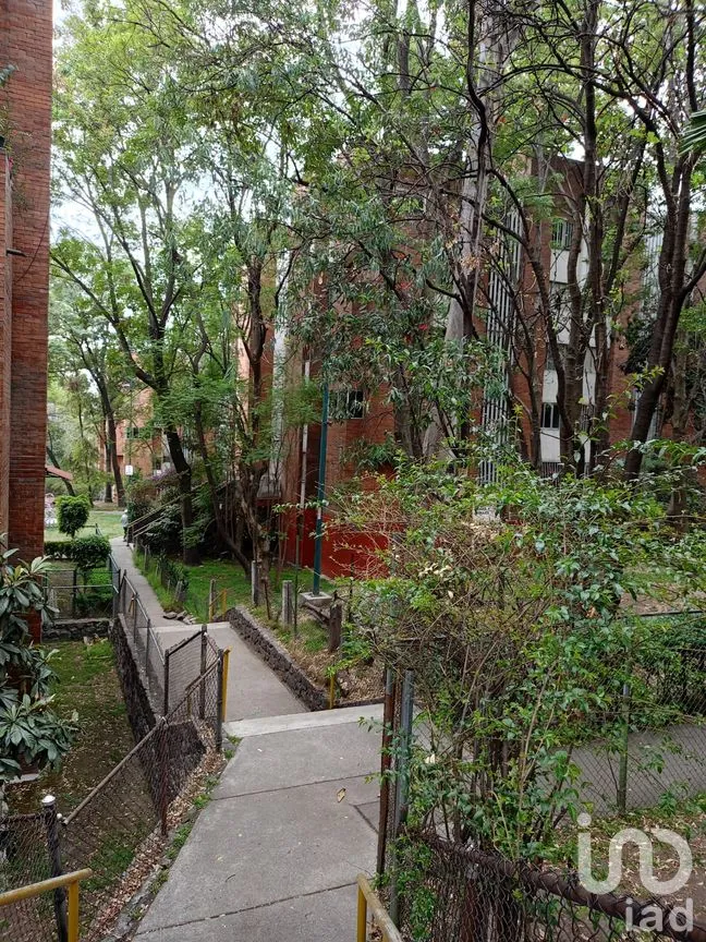 Departamento en Venta en Francisco Villa, Álvaro Obregón, Ciudad de México | NEX-298537 | iad México | Foto 20 de 20