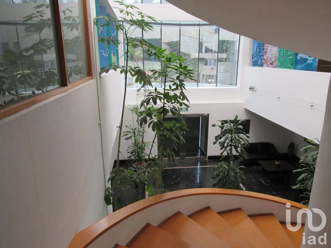 Edificio en Renta en Centro Ocoyoacac, Ocoyoacac, México | NEX-42897 | iad México | Foto 3 de 12