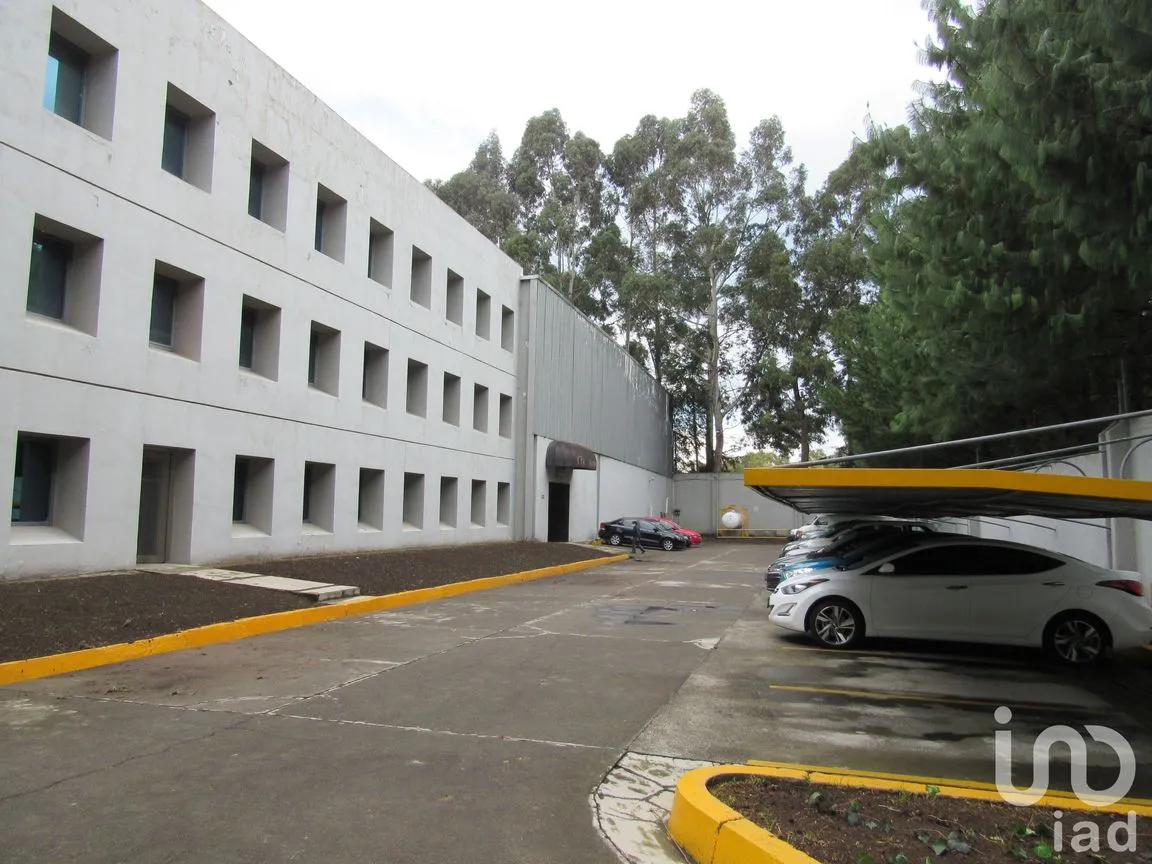 Edificio en Renta en Centro Ocoyoacac, Ocoyoacac, México | NEX-42897 | iad México | Foto 10 de 12