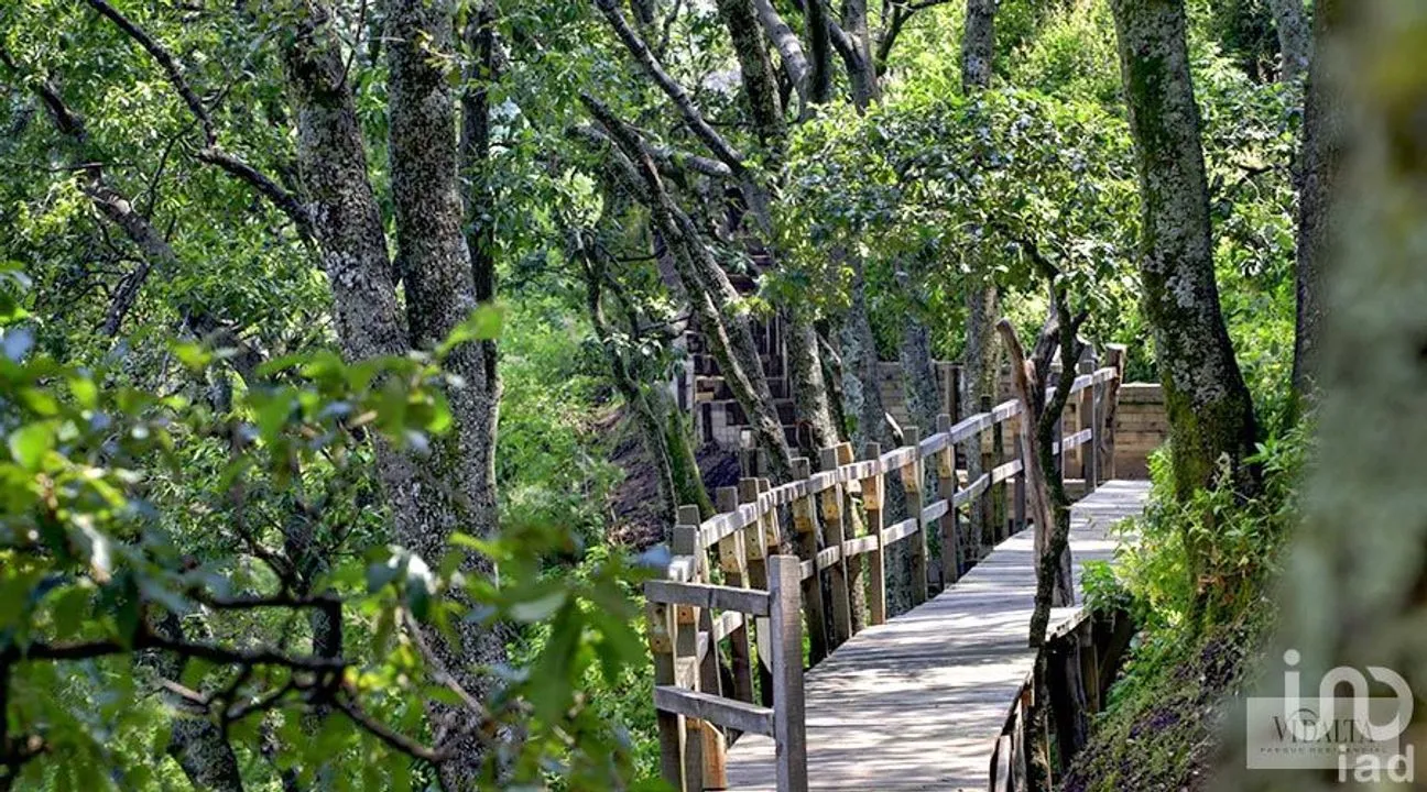 Departamento en Venta en Bosques de las Lomas, Cuajimalpa de Morelos, Ciudad de México | NEX-63615 | iad México | Foto 17 de 27