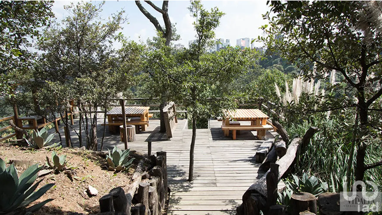 Departamento en Venta en Bosques de las Lomas, Cuajimalpa de Morelos, Ciudad de México | NEX-63615 | iad México | Foto 18 de 27