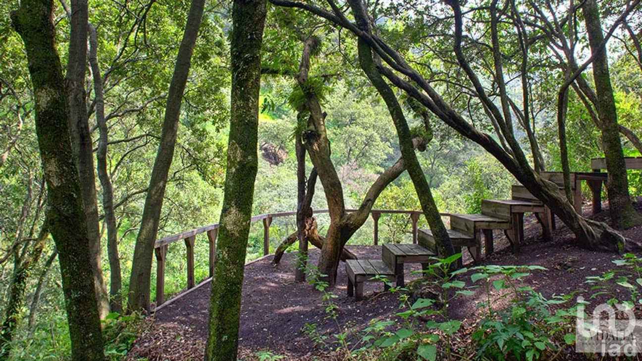 Departamento en Venta en Bosques de las Lomas, Cuajimalpa de Morelos, Ciudad de México | NEX-63615 | iad México | Foto 19 de 27