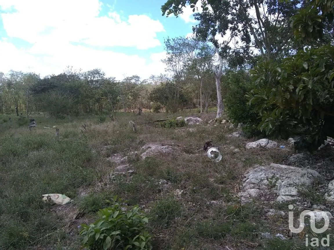Terreno en Venta en San Antonio Millet, Tixkokob, Yucatán | NEX-45816 | iad México | Foto 5 de 5