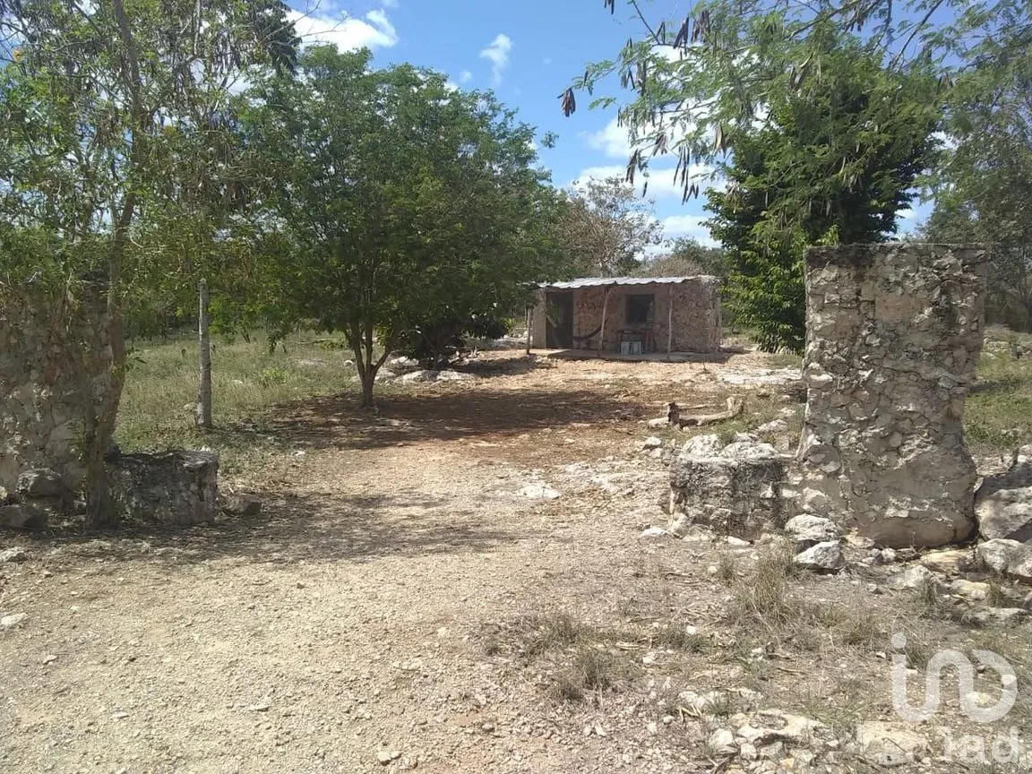 Terreno en Venta en San Antonio Millet, Tixkokob, Yucatán | NEX-45816 | iad México | Foto 1 de 5
