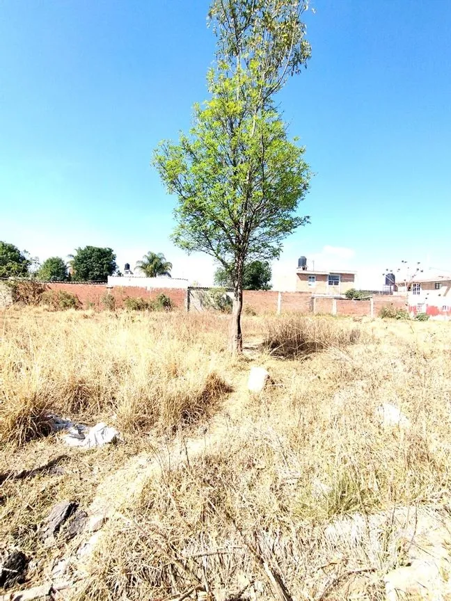 Terreno en Venta en Proyecto 15, Cuautlancingo, Puebla | NEX-172020 | iad México | Foto 7 de 7