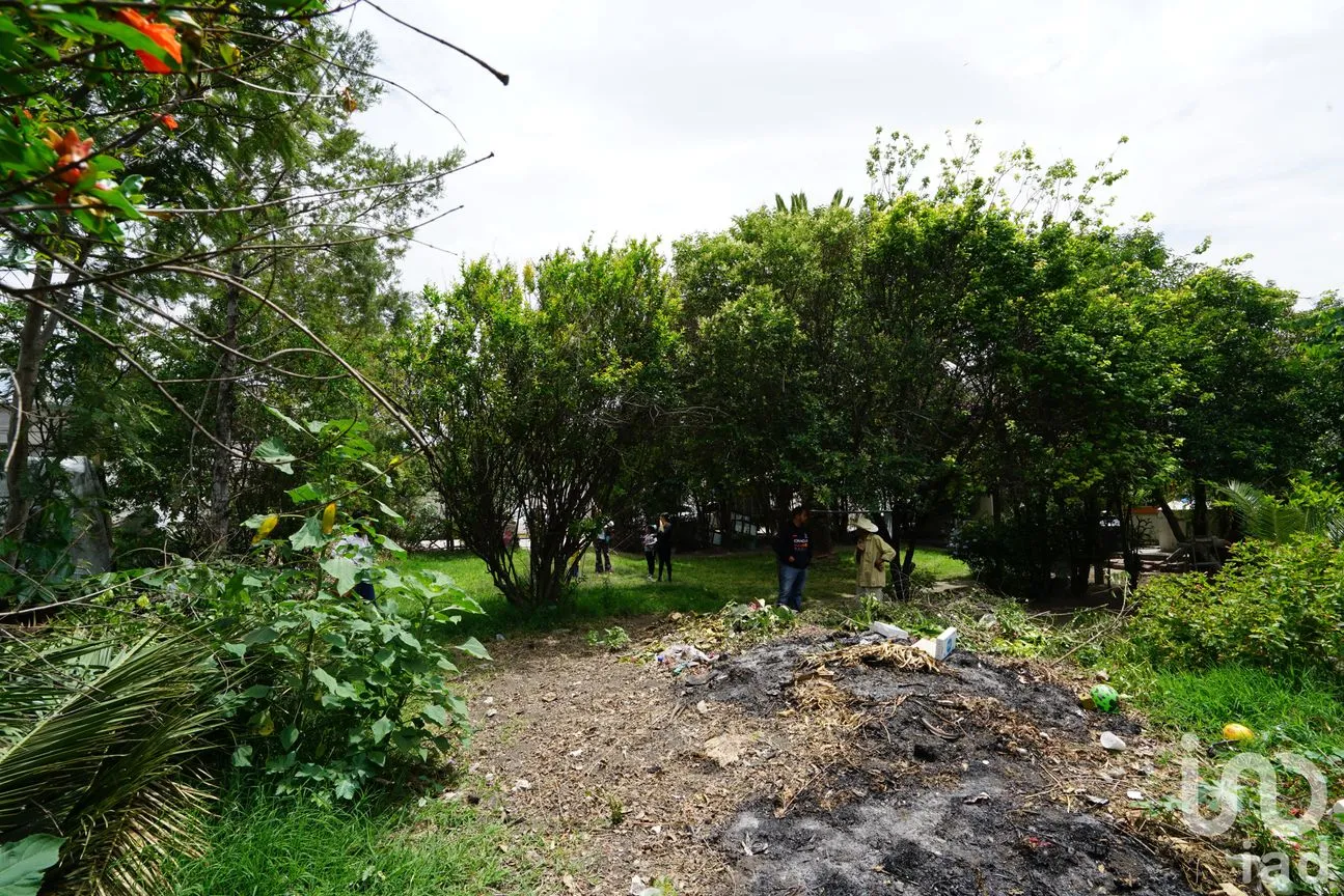 Terreno en Venta en San Nicolás, Tecamachalco, Puebla | NEX-220200 | iad México | Foto 3 de 8