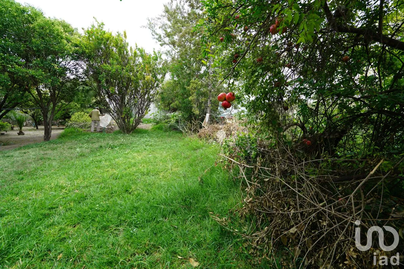 Terreno en Venta en San Nicolás, Tecamachalco, Puebla | NEX-220200 | iad México | Foto 4 de 8