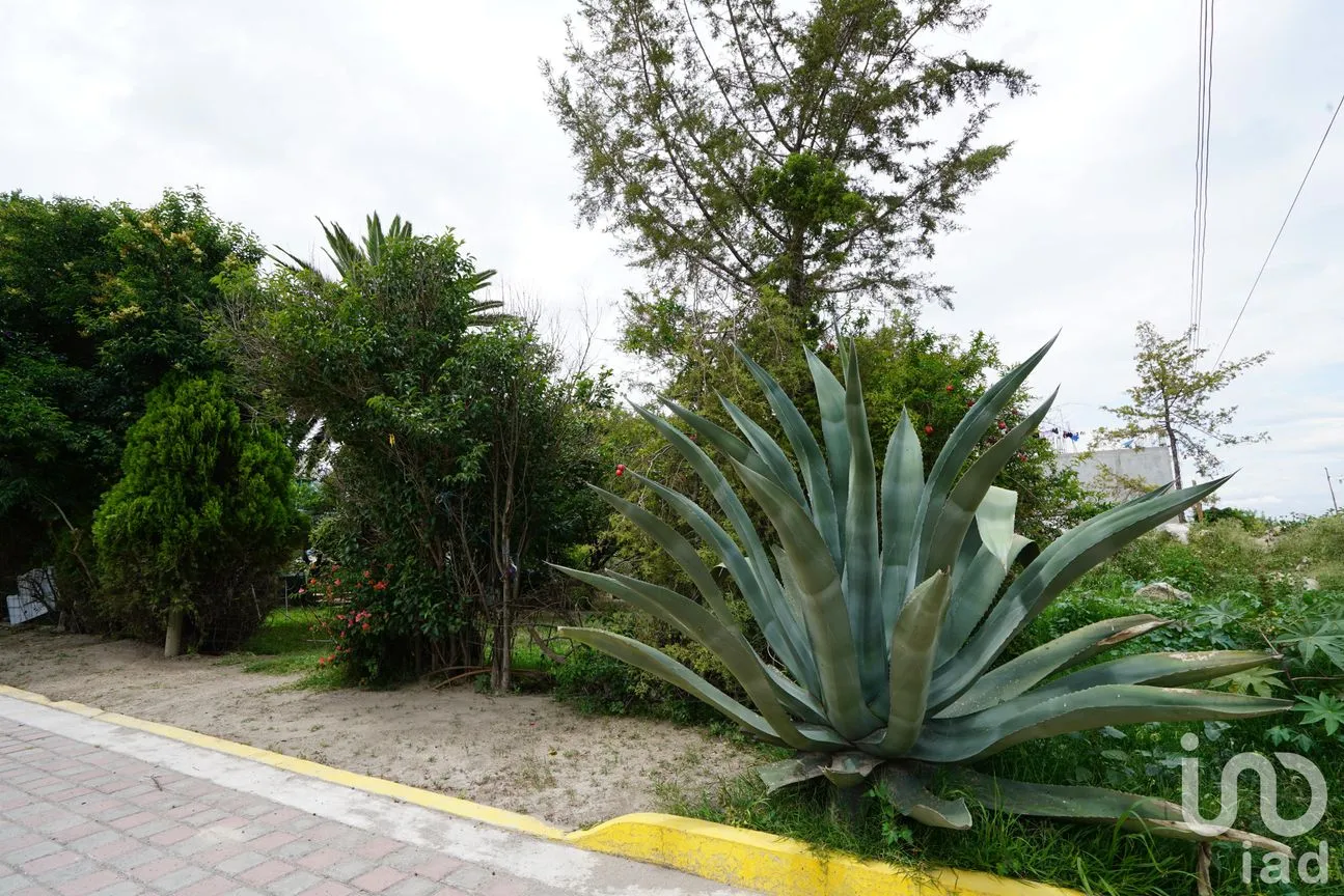 Terreno en Venta en San Nicolás, Tecamachalco, Puebla | NEX-220200 | iad México | Foto 5 de 8