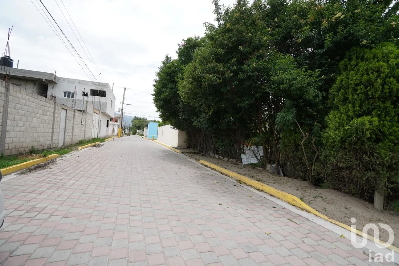Terreno en Venta en San Nicolás, Tecamachalco, Puebla | NEX-220200 | iad México | Foto 6 de 8
