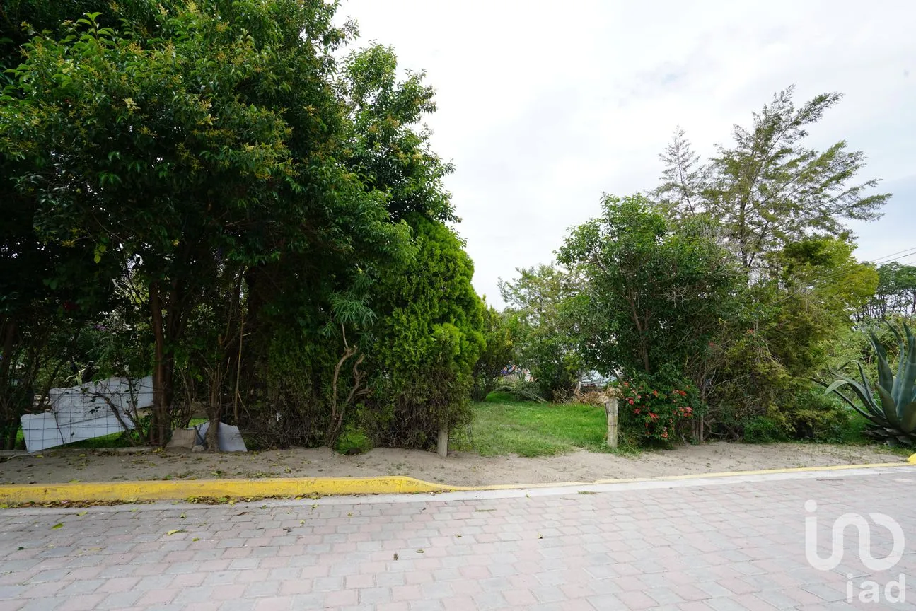 Terreno en Venta en San Nicolás, Tecamachalco, Puebla | NEX-220200 | iad México | Foto 8 de 8