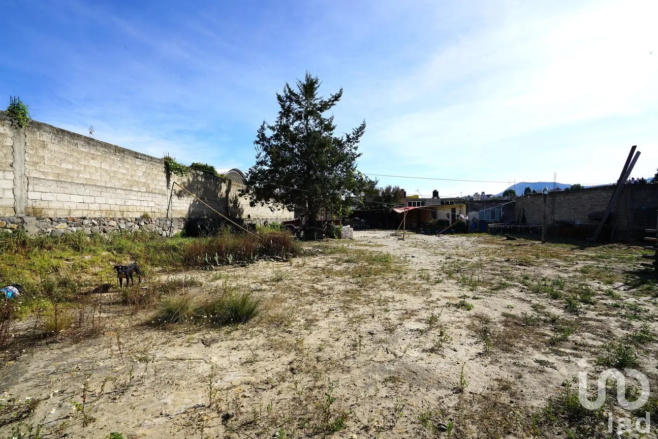 Terreno en Venta en De Tetela, Libres, Puebla | NEX-233616 | iad México | Foto 2 de 10