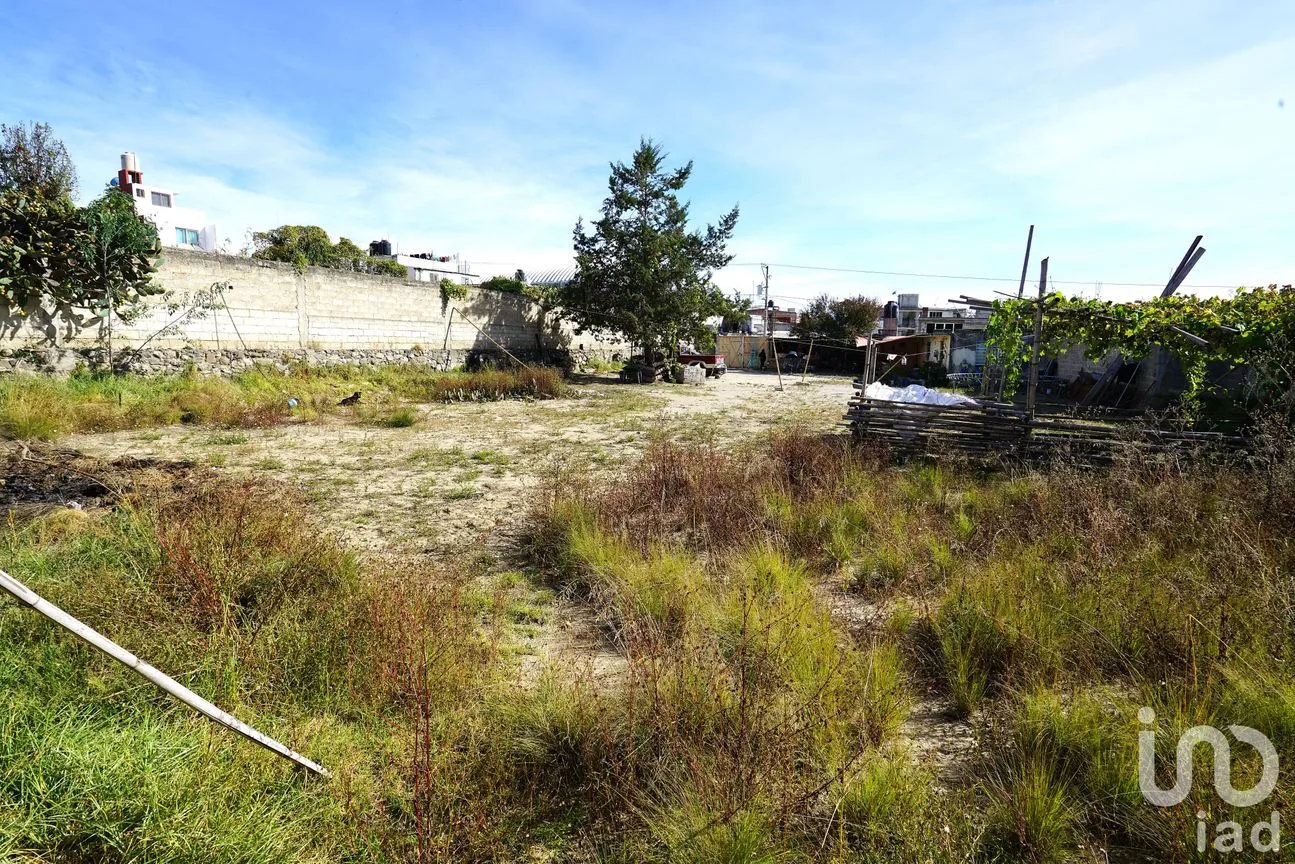 Terreno en Venta en De Tetela, Libres, Puebla | NEX-233616 | iad México | Foto 5 de 10