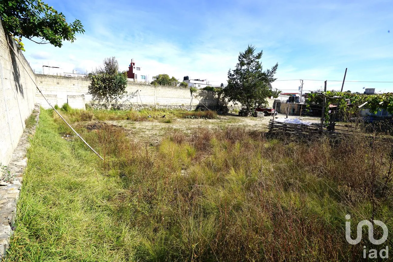 Terreno en Venta en De Tetela, Libres, Puebla | NEX-233616 | iad México | Foto 6 de 10