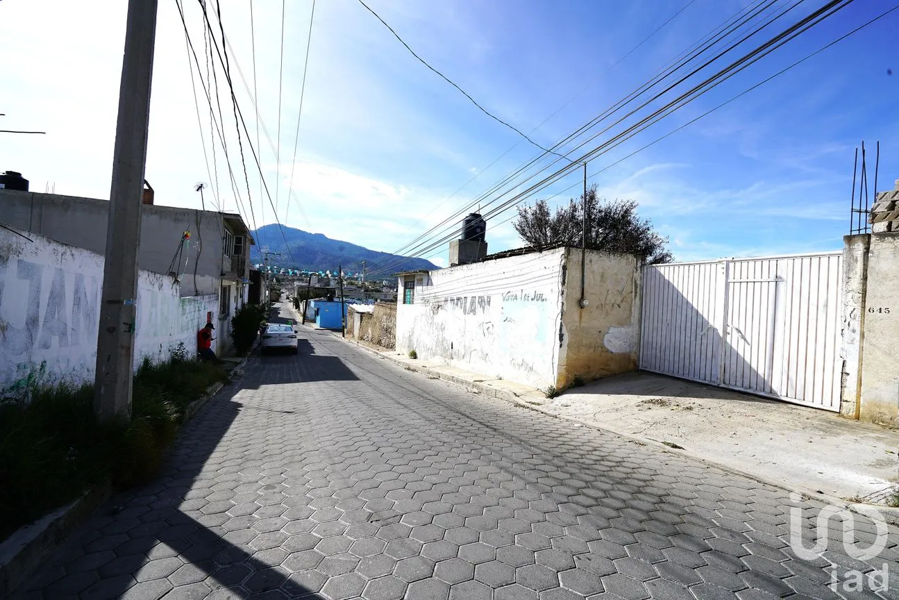 Terreno en Venta en De Tetela, Libres, Puebla | NEX-233616 | iad México | Foto 10 de 10