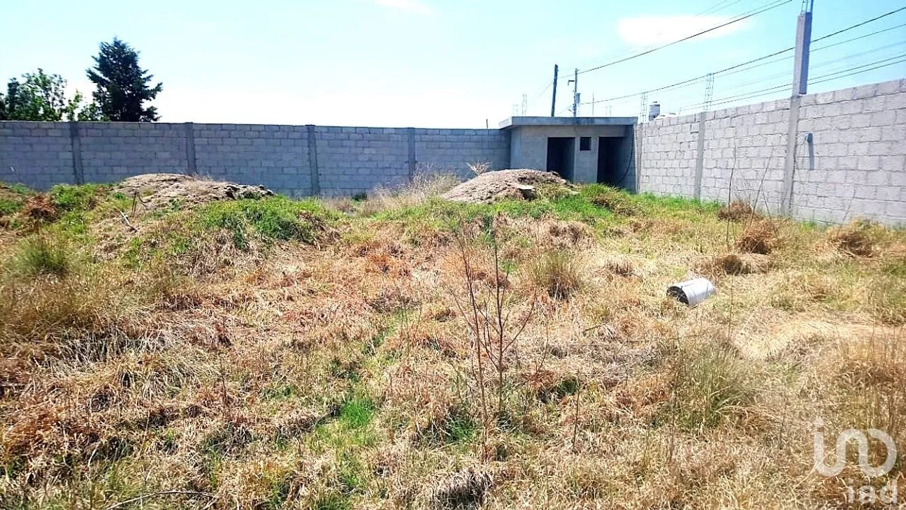 Terreno en Venta en San José de Chiapa, San José Chiapa, Puebla | NEX-237717 | iad México | Foto 2 de 7