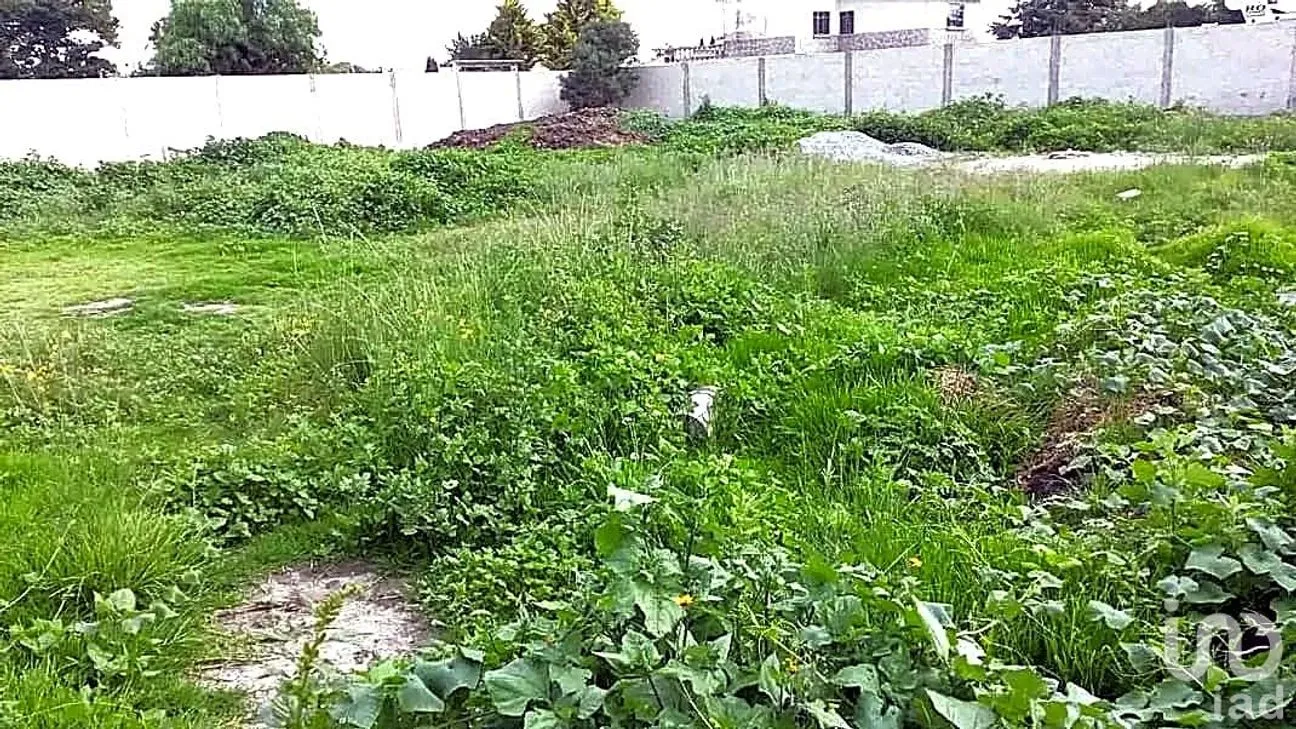 Terreno en Venta en San José de Chiapa, San José Chiapa, Puebla | NEX-237717 | iad México | Foto 3 de 7
