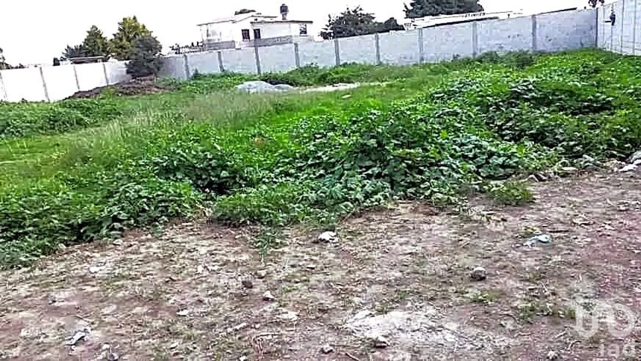 Terreno en Venta en San José de Chiapa, San José Chiapa, Puebla | NEX-237717 | iad México | Foto 4 de 7