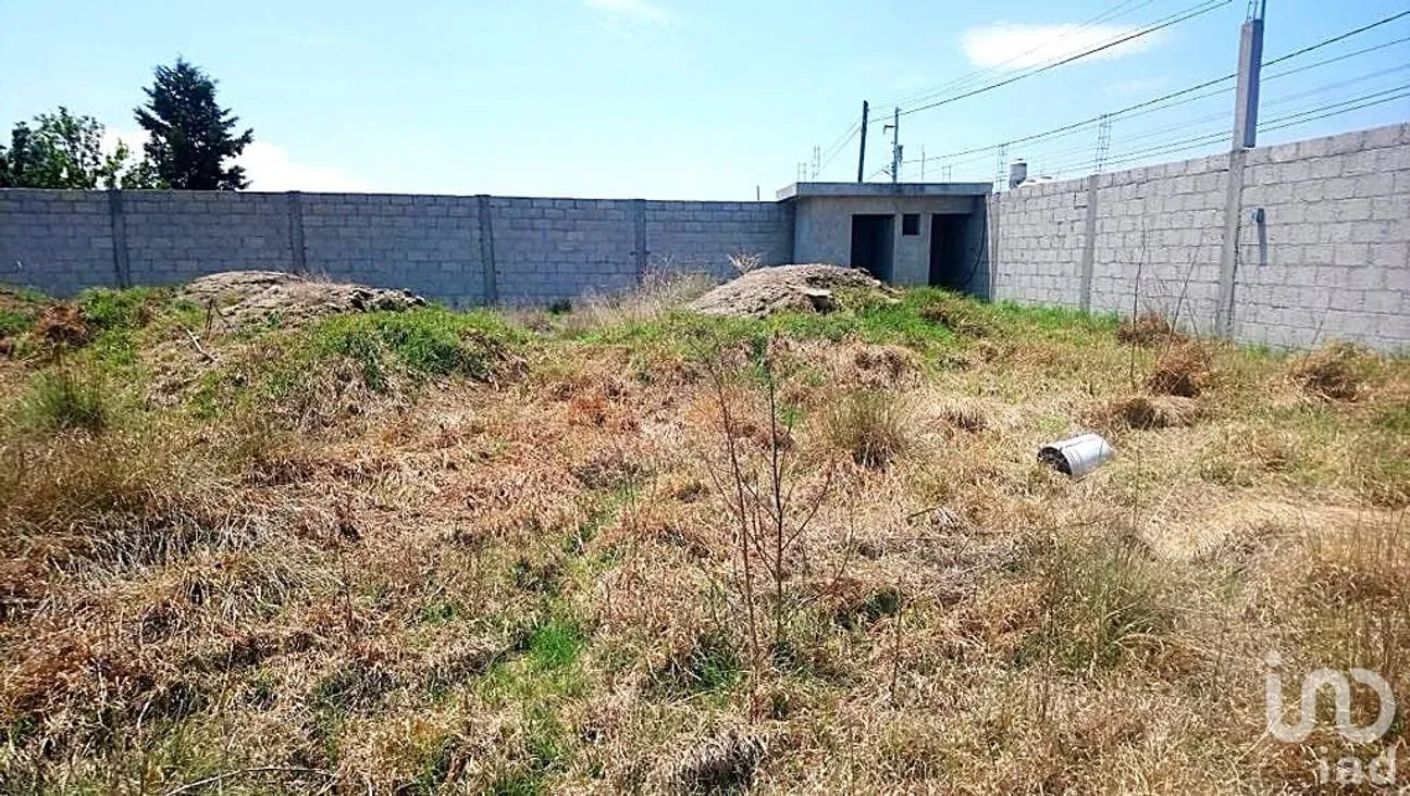 Terreno en Venta en San José de Chiapa, San José Chiapa, Puebla | NEX-237717 | iad México | Foto 5 de 7