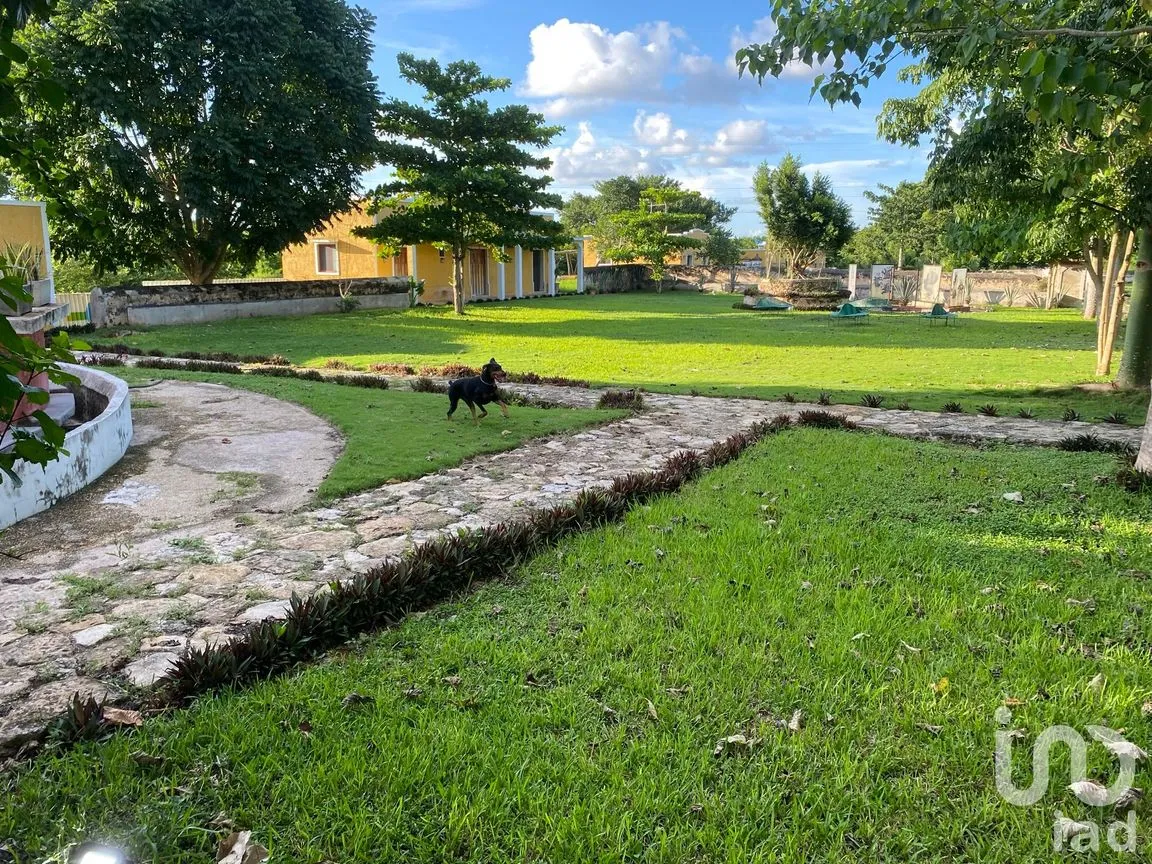 Casa en Venta en Tunkás, Tunkás, Yucatán | NEX-54692 | iad México | Foto 9 de 14